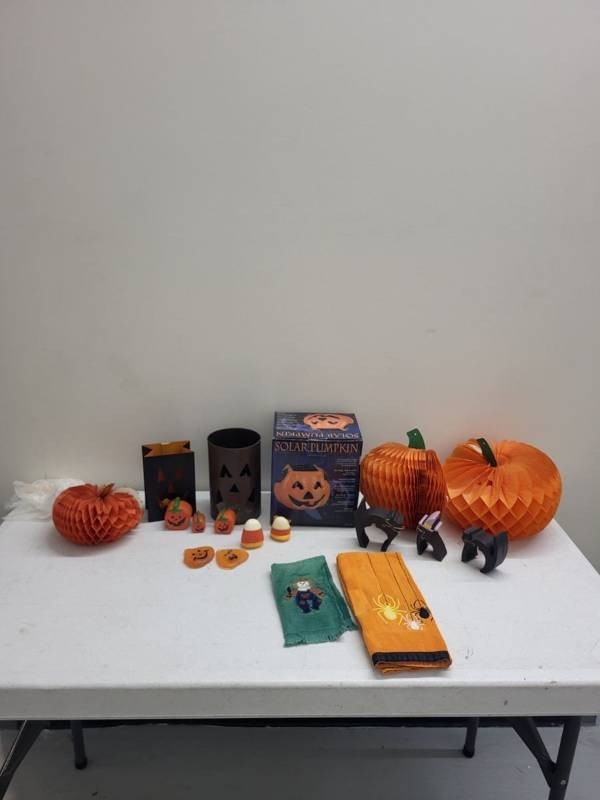 Halloween Decor Lot Paper Pumpkins Cats Towels Luminaries Solar Light