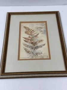 Netia Worley 1976 Signed Botanical Fern Framed Art Wall Hanging