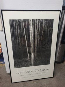Ansel Adams The Camera Framed Photo Poster New York Graphic Society