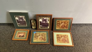 Owl photos