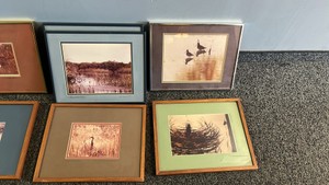 Mixed Size Scenic & Nature Prints
