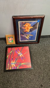Framed Botanical & Dragonfly Art Prints