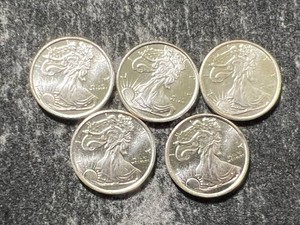 HALF TROY OZ .999 FINE SILVER TOTAL FRACTIONAL ROUNDS