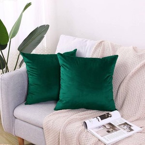 Hibate 2 Pack Soft Velvet Couch Throw Pillow Covers 20x20 Inch for Sofa Living Room Bedroom (Emerald Green)