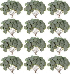 $24 70 Pieces Artificial Eucalyptus Leaves, 11 Inches Tall  Silver Dollar Eucalyptus Fake Greenery Stems Faux Plant DIY Bouquets Floral Arrangement Wedding Home Decor