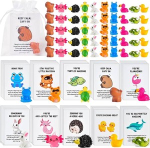 30 Sets Employee Appreciation Gifts Bulk for Coworkers Team Staff Thank You Gifts Back to School Resin Animal Organza Bags Pun Inspirational Note Cards for Teacher Volunteer Nurse Office