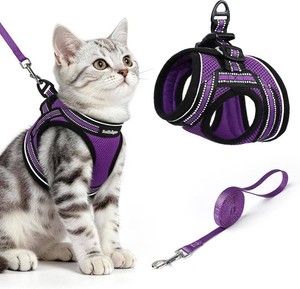 rabbitgoo Cat Harness and Leash Set, Step-in Soft Vest, Purple  Escape Proof, Lightweight, Easy-on & Adjustable, Hook & Loop with Buckle, Reflective, for Kittens & Small Cats Walks, M