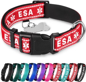 Reflective Neoprene Padded Dog Collar with Quick Release Buckle  Red - ESA, Size M fits 14 to 20 in neck, 1 in wide, Adjustable nylon strap, For dogs and cats