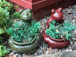 Ceramic Frog Planters w Faux Flowers - Green & Red Pair (Lot of 2)
