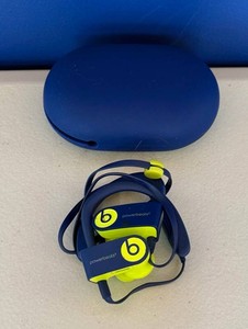 Beats Powerbeats3 Wireless Earphones With Case