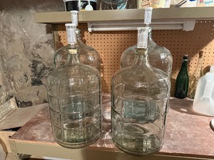 4 Glass Carboys with Airlocks