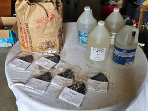 Trader Joes Paper Bag Filled with Face Masks and 4 Gallons of Hand Sanitizers