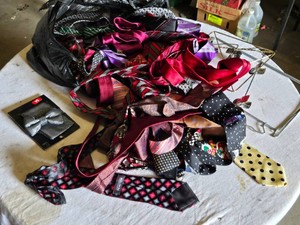 Collection of Mens Neckties and Bow Tie with Miche Garment Storage Bags