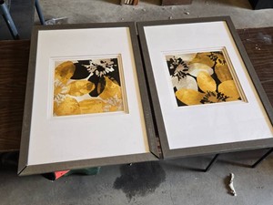 Pair of Framed Floral Art Prints