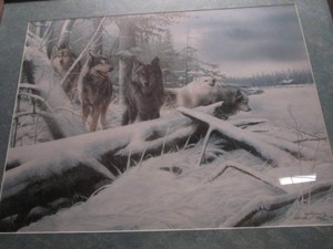 Wolf Pack Print, Kevin Daniels
