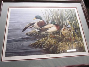 Quiet Rain Print, Paco Young