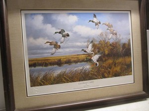 Greenhead Country, David Maass