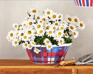 NEW 2 Pack of Members Mark 14 Americana Hanging Flower Pots with Stainless Steel Chain