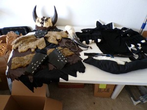 2 - Halloween Costumes