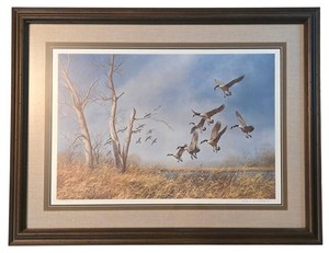 Ll-FR - Signed & Numbered Wildlife Print - Richard Plasschaert 510580