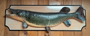 BR - Taxidermy Fish Mount