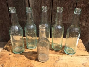 (6) Vintage WOLFSWOLF BEERBEVERAGE - Embossed Bottles