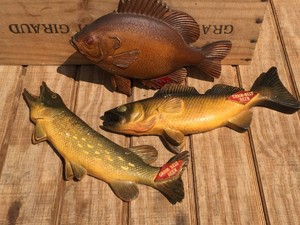 (3) Vintage GRAIN BELT BEER - Fish