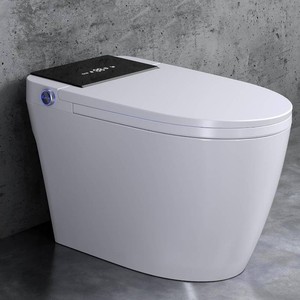 Loniko Electric Smart Toilet with Bidet Built-In and Tank