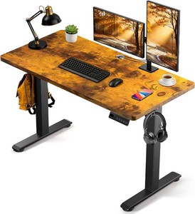 Joyeye 49 X 24 Electric Standing Desk