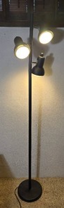 Black Three Light Adjustable Floor Lamp
