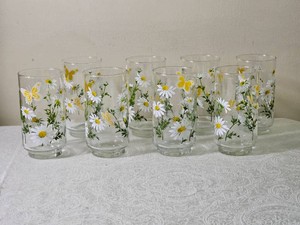70s Libby Daisy & Butterfly Glasses