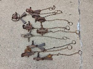 Vintage Animal Foothold Traps