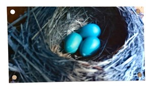 Metal Wall Art Bird Nest With Blue Eggs 24 X 13.5