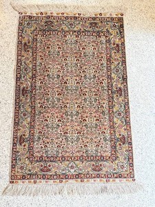 Persian Style Area Rug  Light Wear