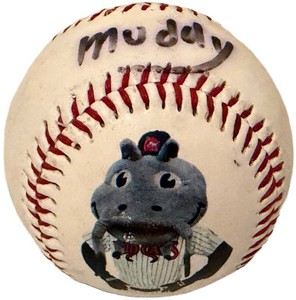 Baseball - Carolina Mudcats Mascot Muddy