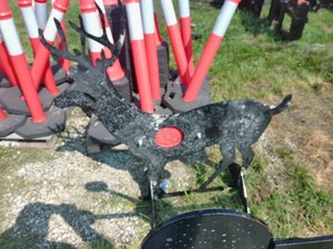 Deer Shaped Shooting Target