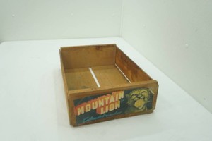 Vintage Mountain Lion Colorado Peaches 12 Crate