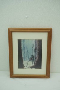 framed wildlife print Evening Shadows by artist Rod Frederick 13.25x16