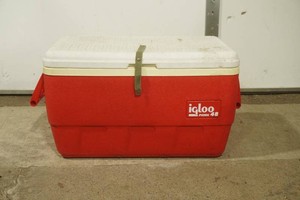 igloo cooler
