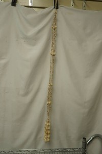 vintage seashell plant hanger