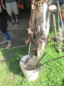 Vintage metal leg-hold traps with b...