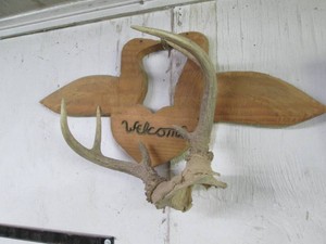 Deer antlers and wood welcome plaqu...