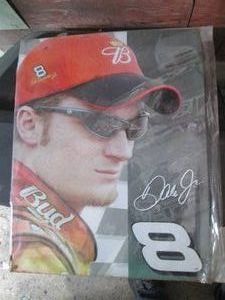 Metal Dale Jr #8 sign...