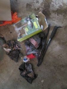 3-in-1 Flock pack decoys with bonus...