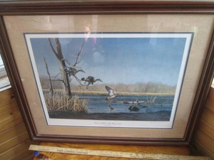 Prairie Pothole blue wing teal Fram...