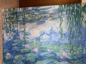 Claude Monet Waterlilies Licensed Canvas Print Framed Wall Art
