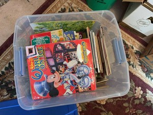 Vintage Childrens Books & Paint Books Disney Berenstain Scouts Lot