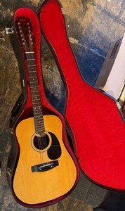 Drifter 12-String Acoustic Guitar with Case