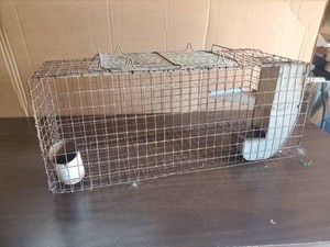 Vintage Critter cage with Food Tray