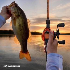 Lethal Blaze Twin-Tip Baitcaster Rod and Reel Comb